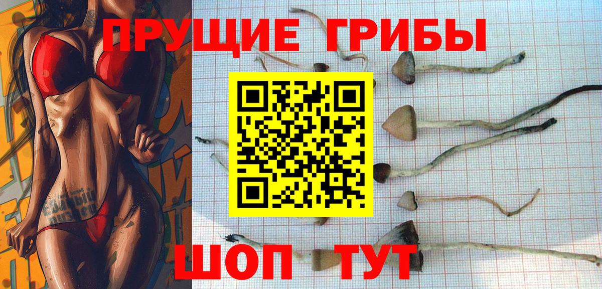 Галлюциногенные грибы мицелий  Вход с VPN  закладки  Междуреченск 