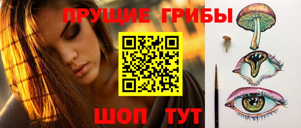 Псилоцибиновые грибы мухоморы Междуреченск